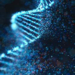 DNA